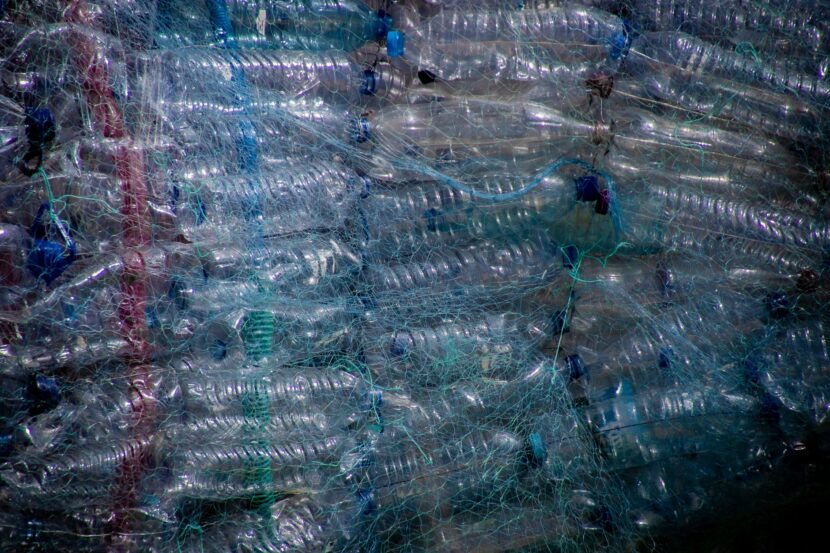 Help Curb Plastic Pollution