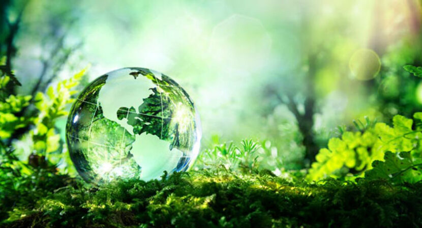 environment sustainability smilingtree