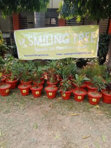 Smiling Tree planted over hundred plants at Ludlow Castle No.1 - Rashtriya Vikas Vidyalaya School, Civil Lines, Delhi