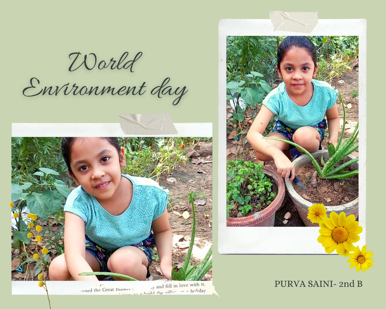 On World Environment Day beautiful musical dance performance depicting the plight of a Tree and harmful effects of pollution, by Smiling Tree's green warrior Sonal, studying in Leelawanti Saraswati School.
