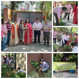 Smiling Tree conducted Plantation Drive at Saraswati Bal Mandir School, Lajpat Nagar, Delhi