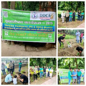 Smiling Tree was the Green Partner at TEDxGreenfield event held on August 10th, 2025, organized around the theme "Ideas Change Everything".