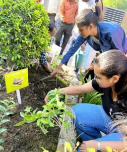 Smiling Tree gifted 100 planters plants to Miranda House College University of Delhi, for their event EROBERN'26
